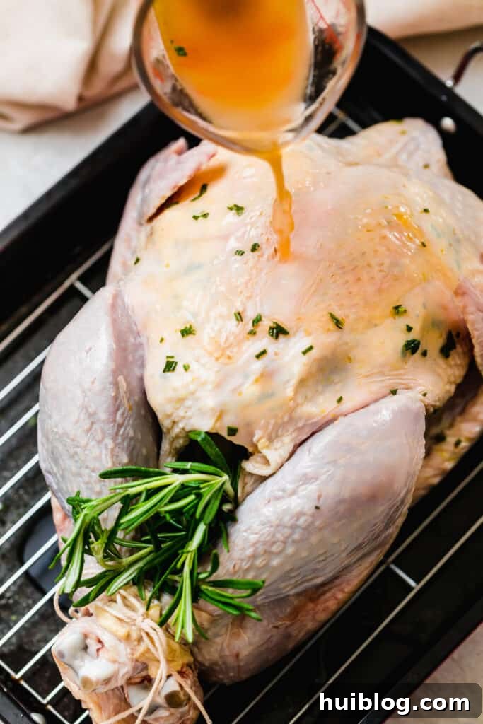 Succulent Roasted Turkey Feast 6 Uncooked turkey in a pan with fresh rosemary and halved onion in the cavity.