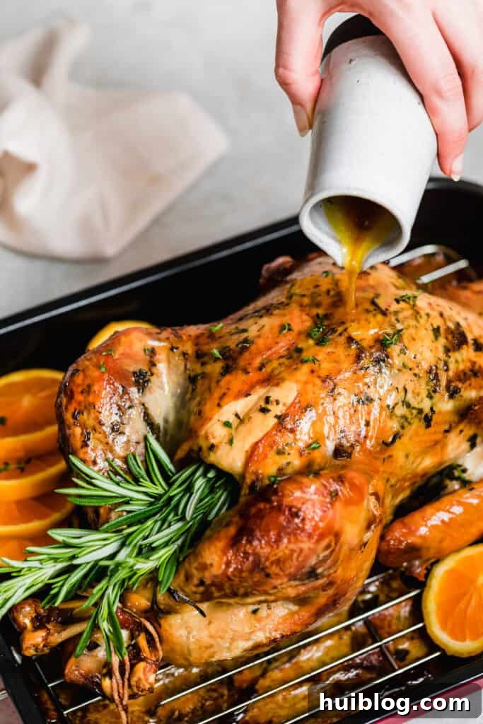 Succulent Roasted Turkey Feast 7 Basting a whole roast turkey in a pan during cooking.