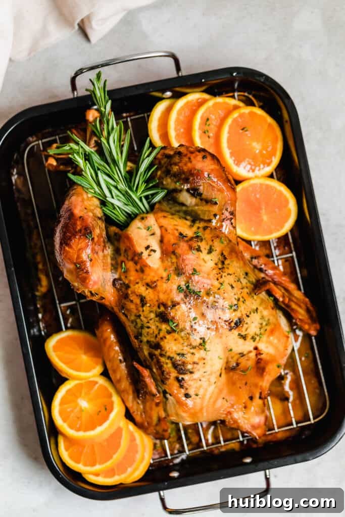Succulent Roasted Turkey Feast 8 Roasted turkey in a pan with rosemary and orange slices, ready to be served.