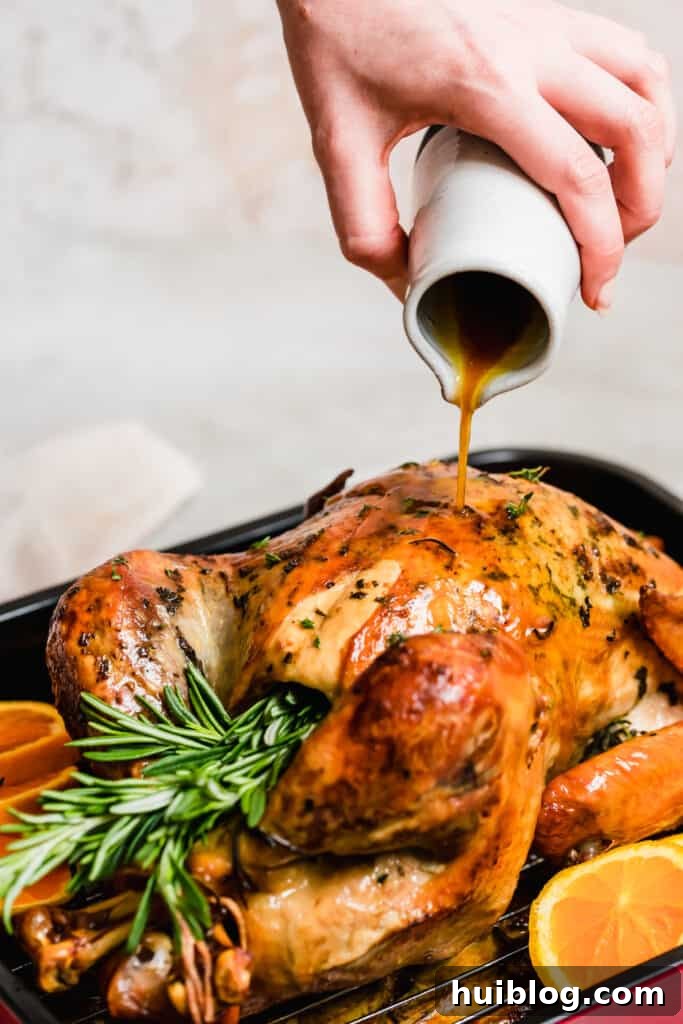 Succulent Roasted Turkey Feast 9 Basting a golden-brown roasted turkey in a pan.
