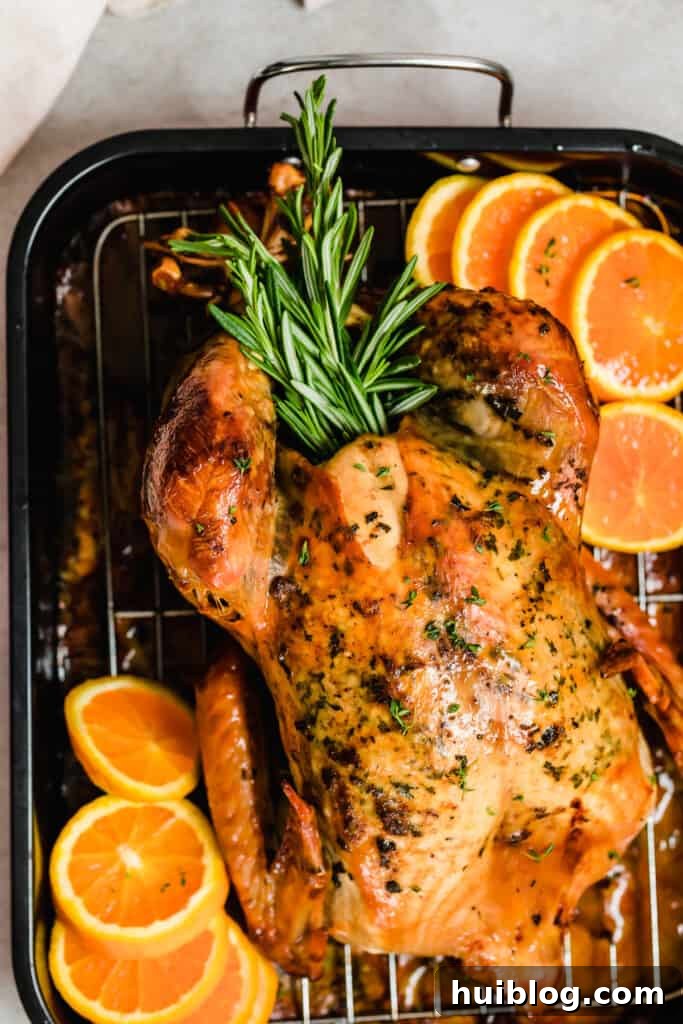 Succulent Roasted Turkey Feast 10 overhead shot of a whole roasted turkey on a roasting pan, beautifully carved and presented.