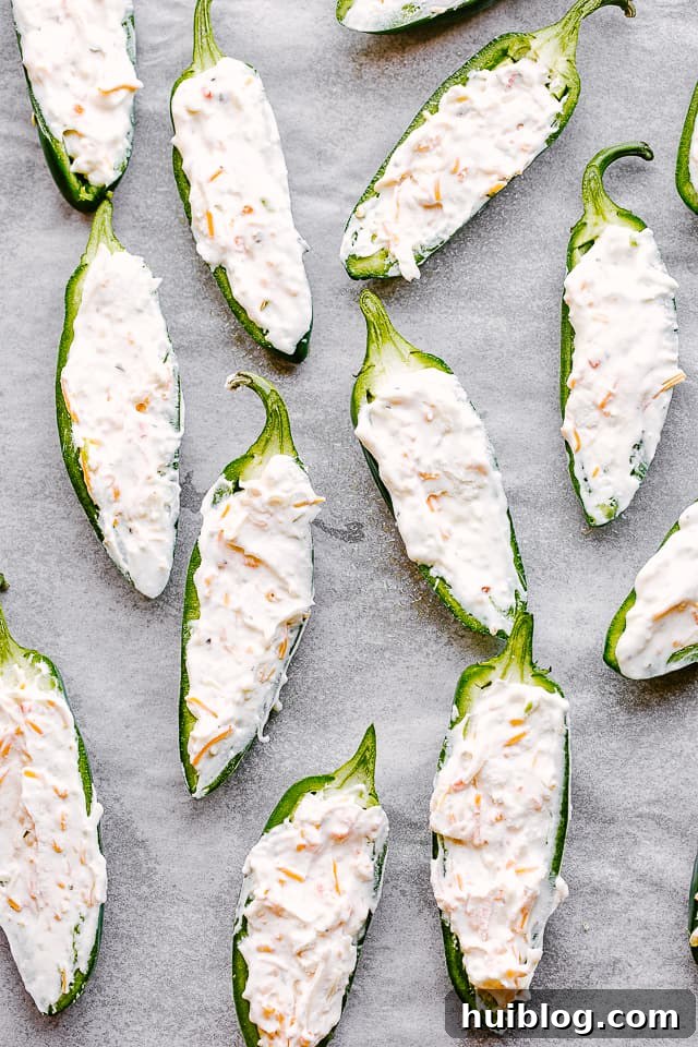 Bacon Jalapeno Delights 5 Raw jalapeño halves, perfectly stuffed with a generous amount of creamy shredded cheese filling, awaiting their bacon wrap and baking.