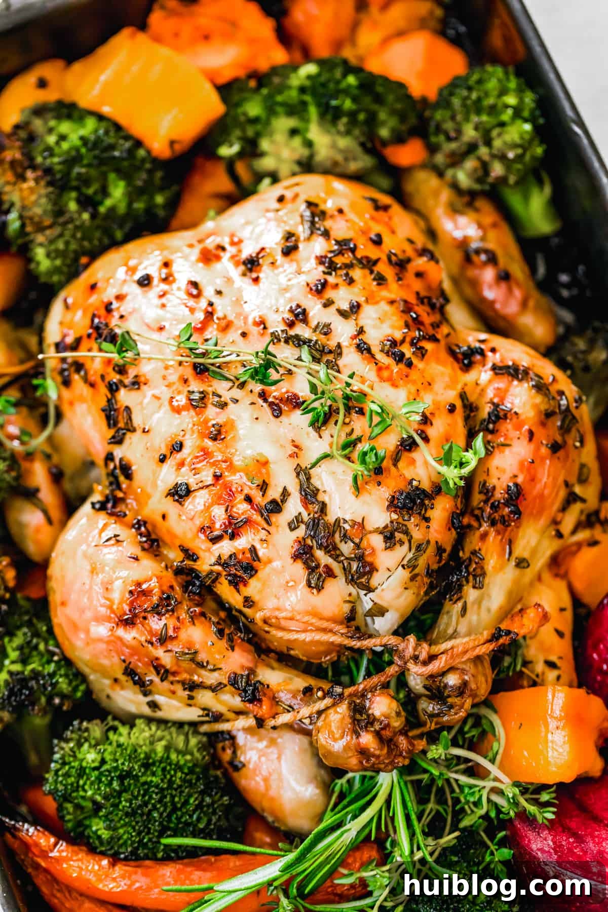 Golden Roasted Chicken and Autumn Harvest Vegetables 2 overhead close up shot of whole roast chicken.