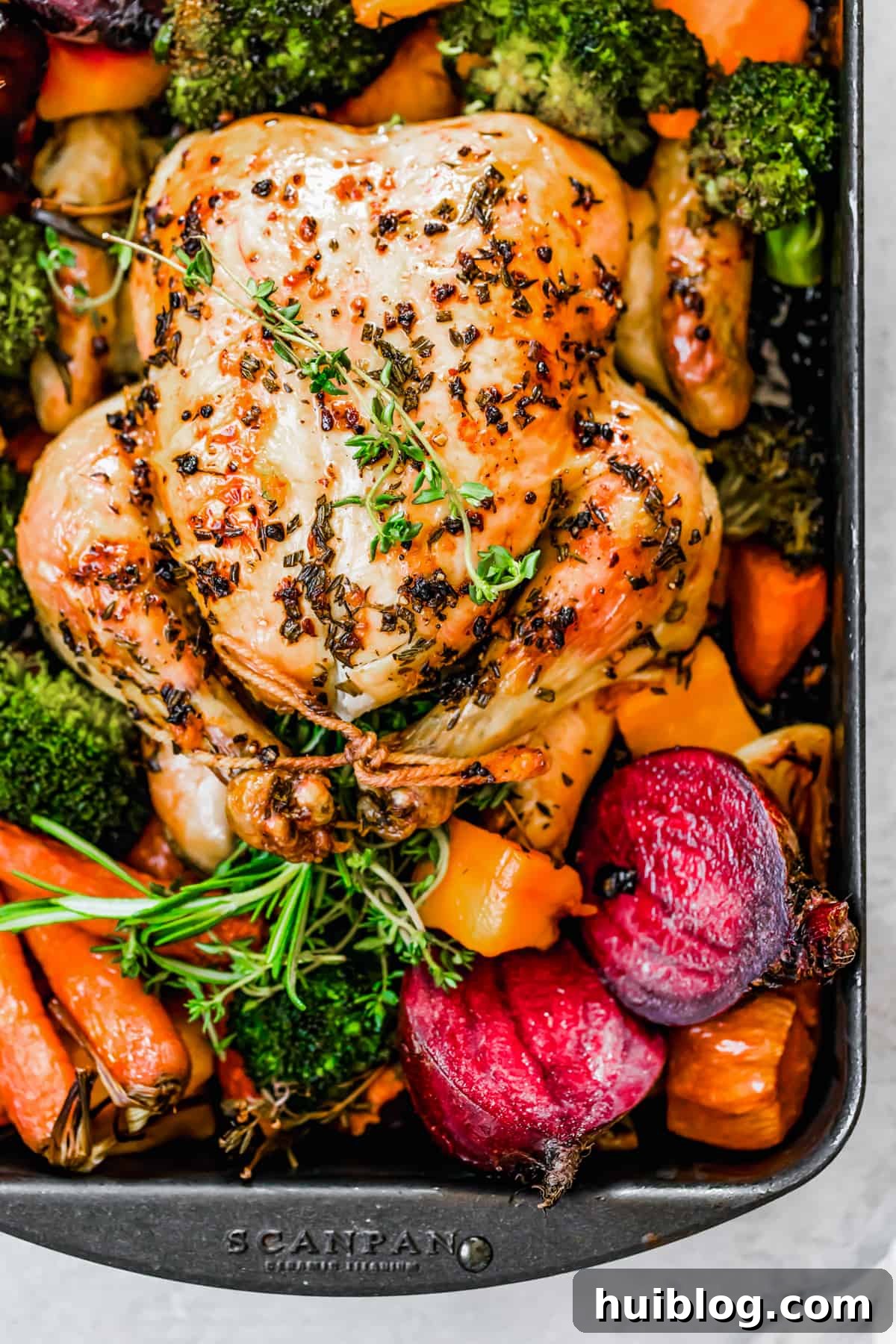 Golden Roasted Chicken and Autumn Harvest Vegetables 7 Roasted whole chicken with fall vegetables on a sheet pan