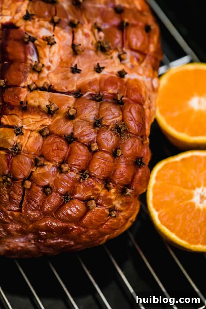 The Close-Up View of a Ham with Cloves Stuck Into It, forming an appealing diamond pattern.