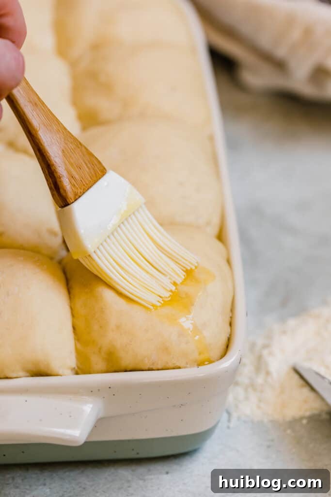 A close-up shot of butter being brushed over the surface of risen Parmesan Dinner Roll dough before baking.