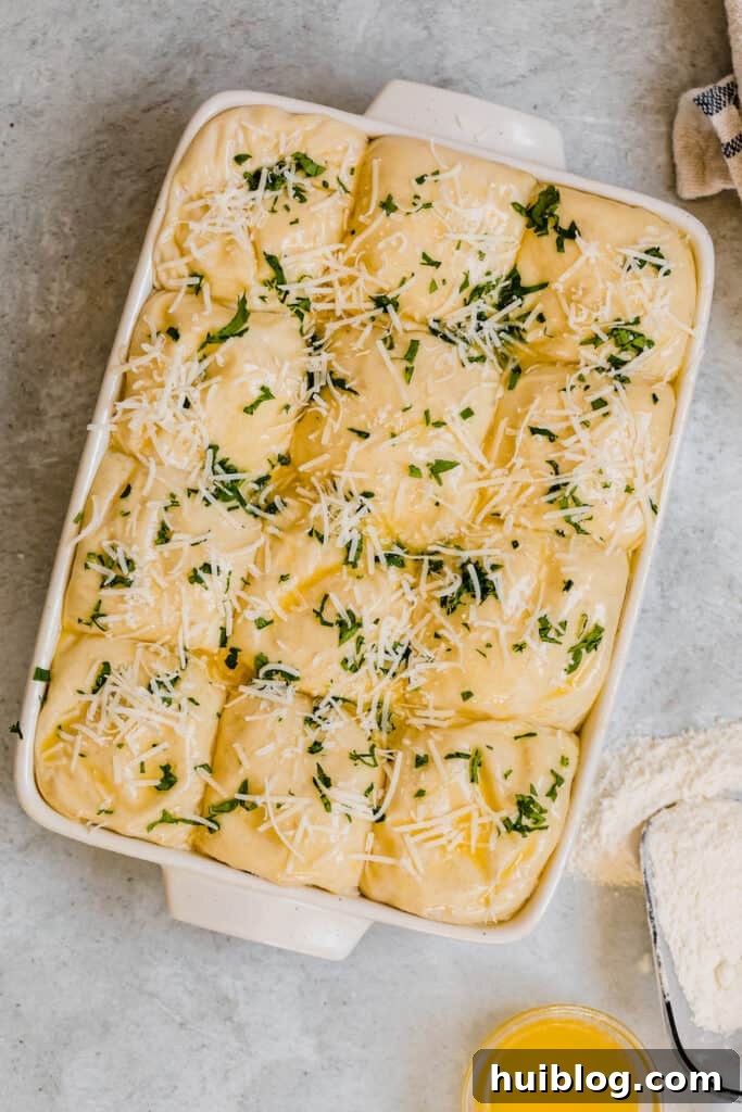 Risen Parmesan Dinner Roll dough, perfectly proofed and generously topped with Parmesan cheese and fresh chopped parsley, ready for the oven.