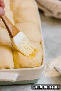 Butter being brushed over risen Parmesan Dinner Roll dough in a baking pan.