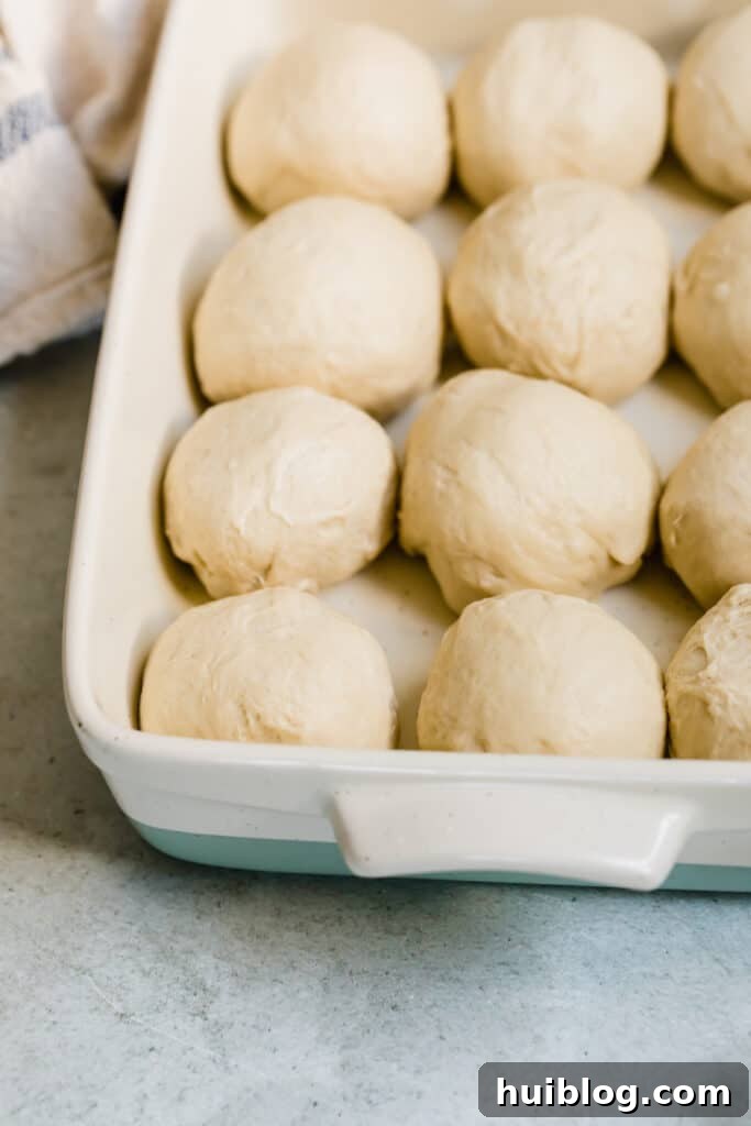 Raw dinner roll dough balls, perfectly shaped and lined up in a baking pan before their second rise.