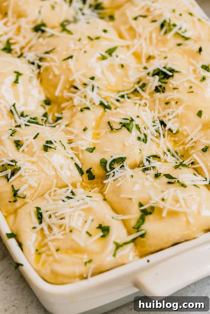 Unbaked Parmesan Dinner Roll dough topped with cheese and parsley, ready to enter the oven.