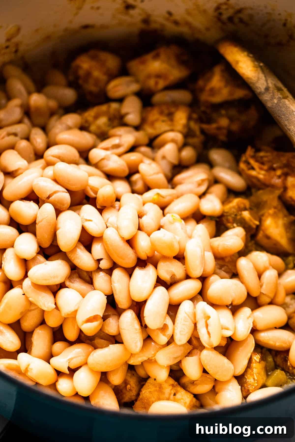 Chicken pieces and cannellini beans simmering in a Dutch oven, preparing a flavorful chili.