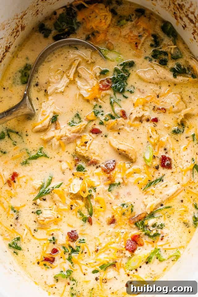 A top-down view of Slow Cooker Crack Chicken Soup in a large slow cooker, ready to be served.