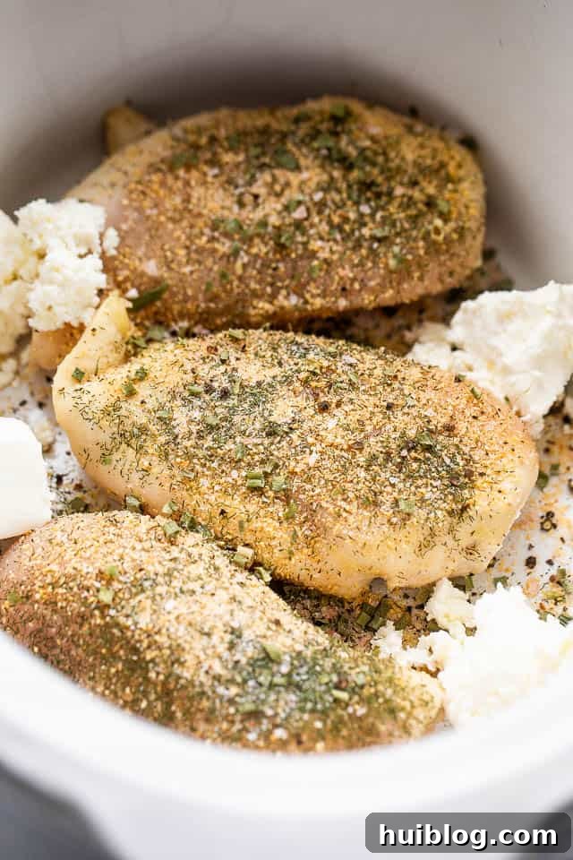 Three seasoned raw chicken breasts, ready for the slow cooker.