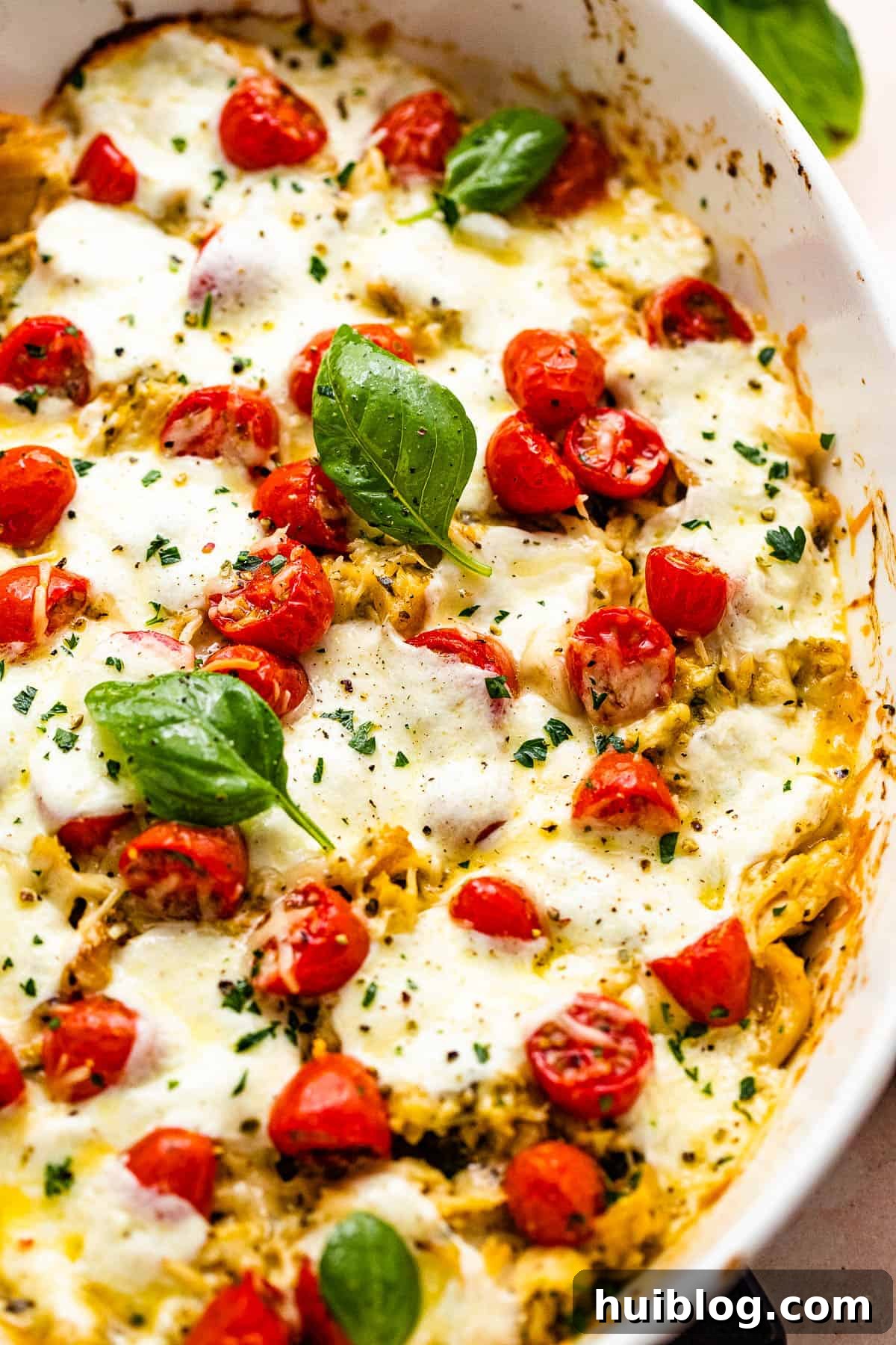 Zesty Caprese Chicken Bake 7 A top-down view of the Caprese Chicken Casserole in a white baking dish, garnished with fresh basil leaves and cherry tomato halves.