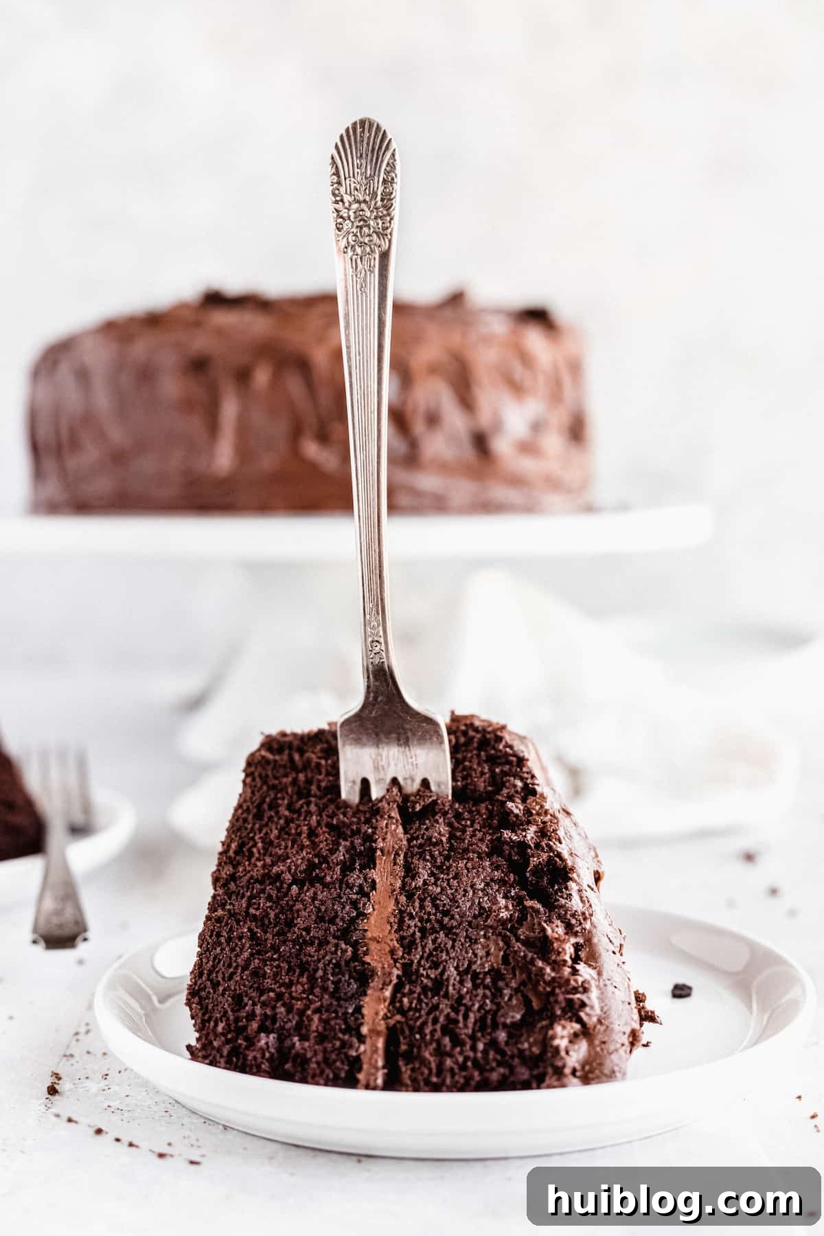 A perfectly sliced piece of chocolate cake on a white plate with a fork