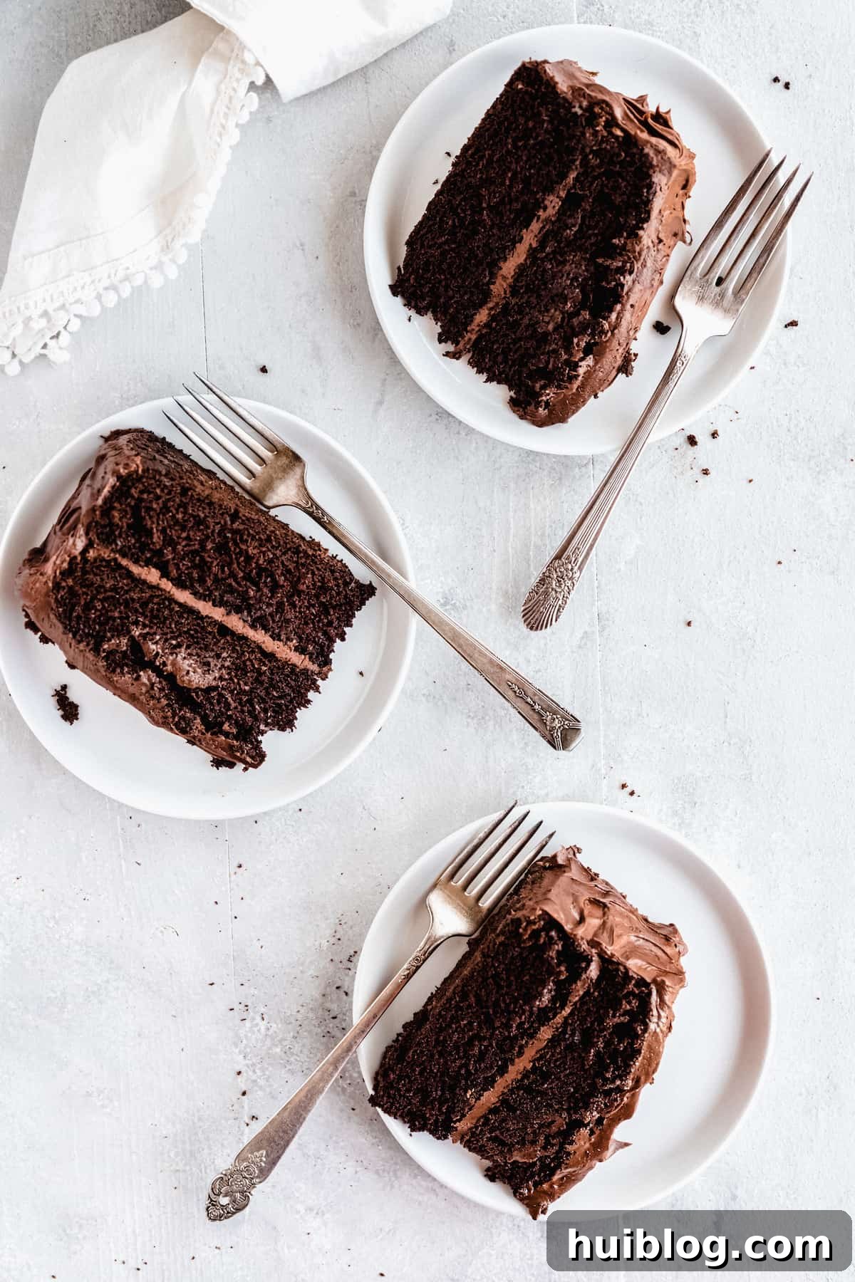 A bird's-eye view of three luscious slices of homemade chocolate layer cake