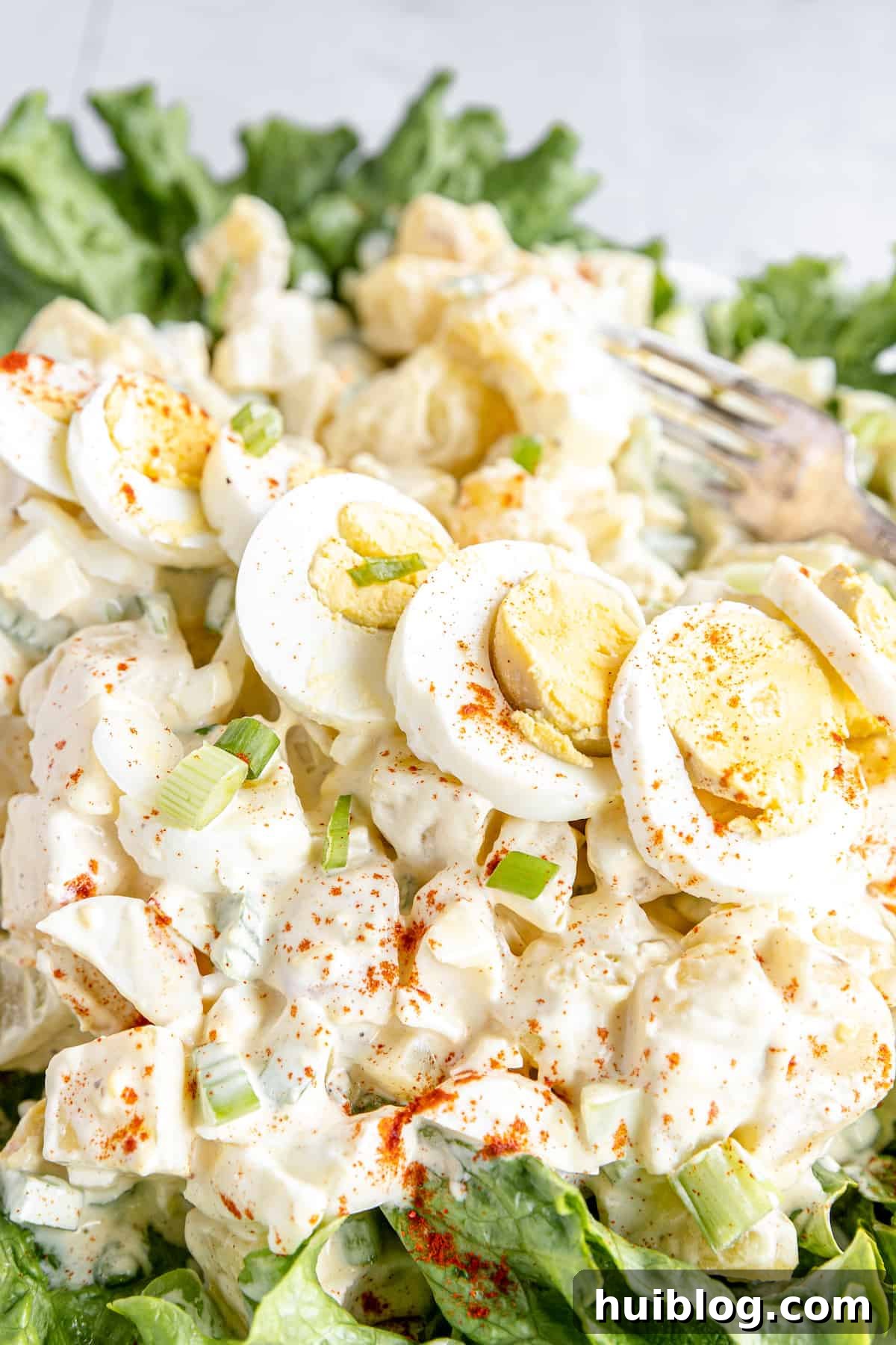 All-American Potato Salad 7 Garnishes and a Line of Hard-Boiled Egg Slices on Top of a Creamy Potato Salad, ready to be served.