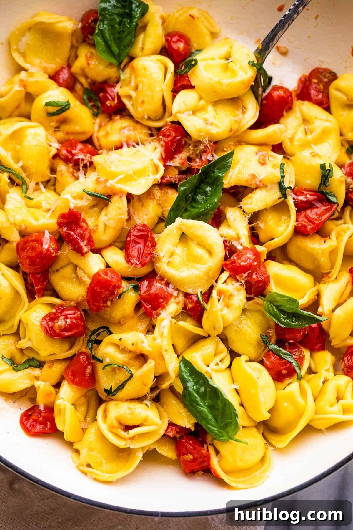 A close-up of cheese tortellini pasta tossed with glistening roasted cherry tomatoes and fresh basil leaves, ready to be served.