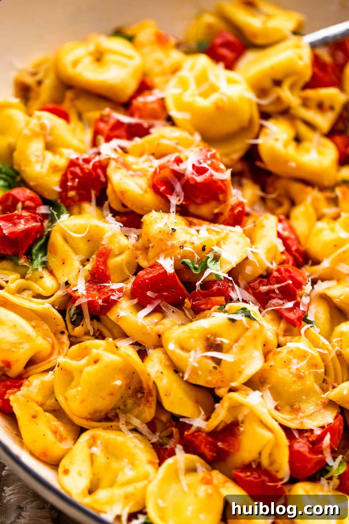 A bowl of freshly cooked cheese tortellini pasta with roasted cherry tomatoes, garnished generously with grated Parmesan cheese and fresh basil.