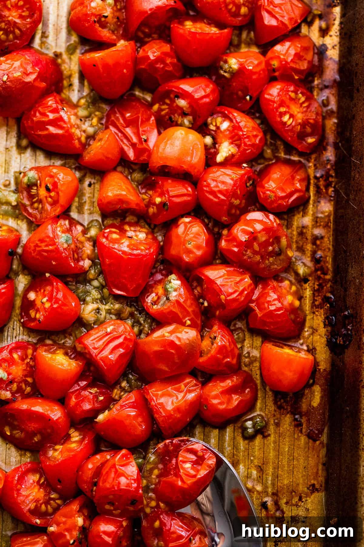 Halved cherry tomatoes tossed with garlic and olive oil spread evenly on a baking sheet, ready for roasting.
