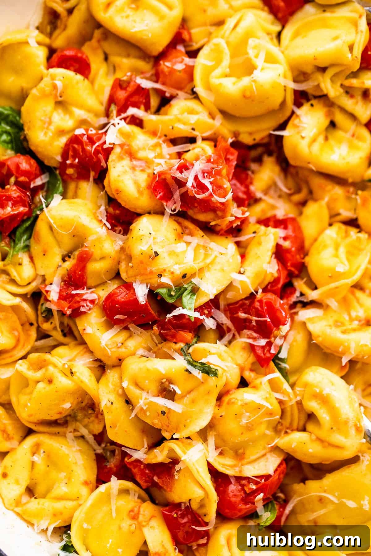 A beautifully plated serving of cheese tortellini with roasted cherry tomatoes, garnished with fresh Parmesan and basil.