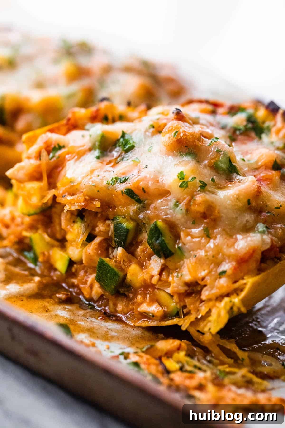 Loaded Chicken Enchilada Spaghetti Squash 6 Halved spaghetti squash stuffed with golden-brown chicken enchilada filling and perfectly melted cheese, garnished with fresh cilantro.