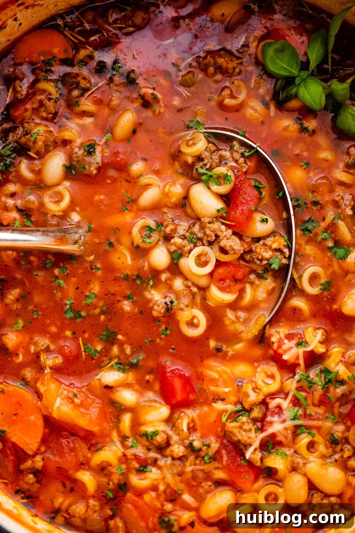 A close-up view of a ladle scooping out creamy Pasta Fagioli soup, highlighting its rich texture and ingredients.