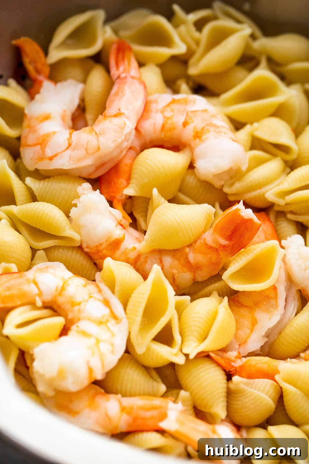 cooking shells pasta and shrimp