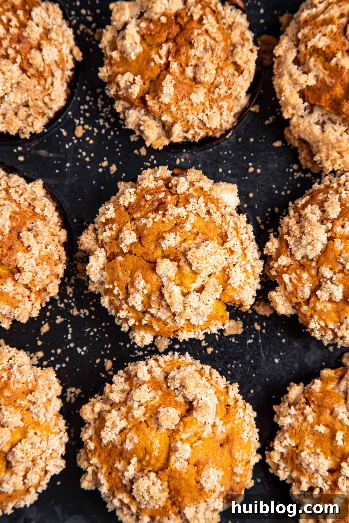 An overhead view of a freshly baked pan of twelve golden-brown pumpkin muffins, each topped with a delicate cinnamon crumble, cooling after coming out of the oven.