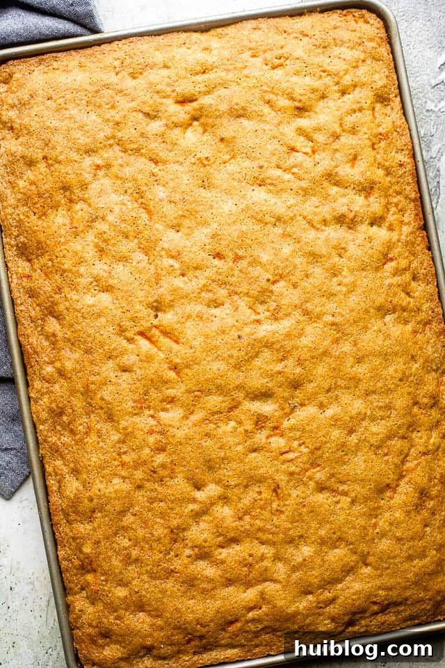 A golden-brown carrot cake cooling in its pan. A freshly baked, golden-brown carrot cake cooling in a sheet pan on a wire rack, steam gently rising.