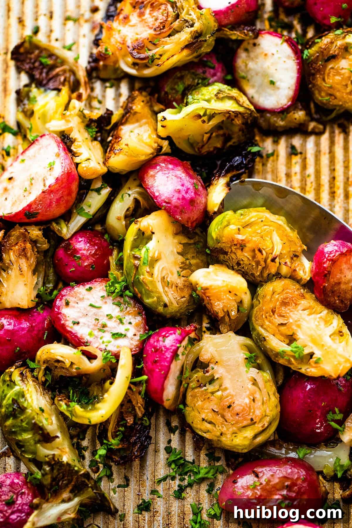 Close-up of perfectly roasted Brussels sprouts and radishes, halved and golden-brown on a baking sheet, ready to be served.